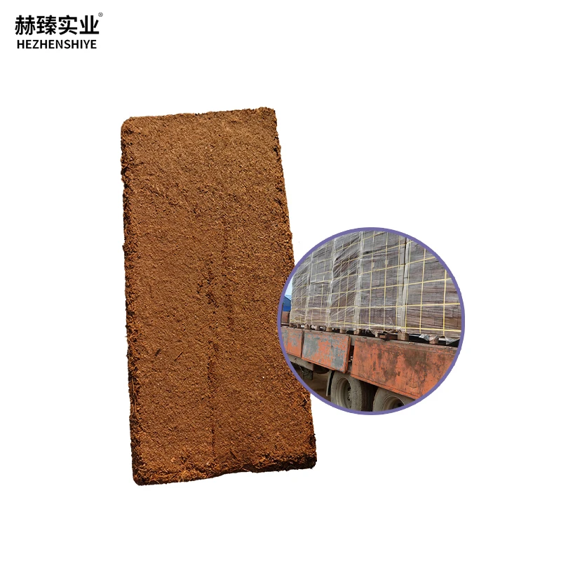 Nutrient Rich Coco Coir Brick for Potted Flower and Ornamental Plant Care