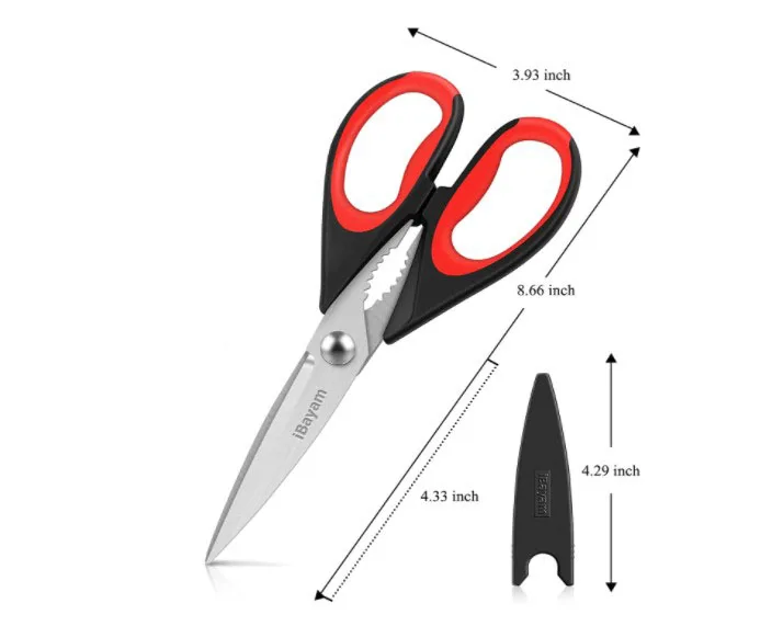 kitchen scissor.JPG