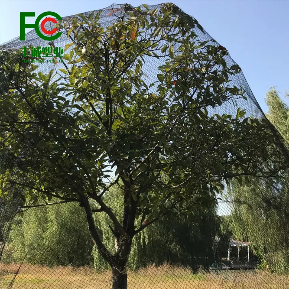 Durable PE Anti Bird Net for Hunting Birds and Chicken Nets with Chicken Netting Fence Farm Solutions