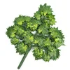 12 piccoli rami di acero verde