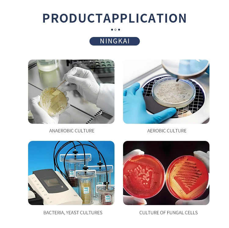 product 100l 300l 500l pilot bioreactor systems industrial bioreactor prices-5