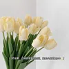 47cm long, creamy yellow
