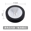 Black Shell Dry Battery Model