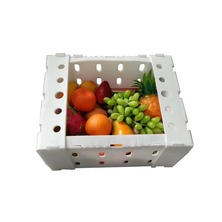 
custom size agriculture pp plastic corrugated foldable box 