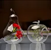 Inclusi accessori