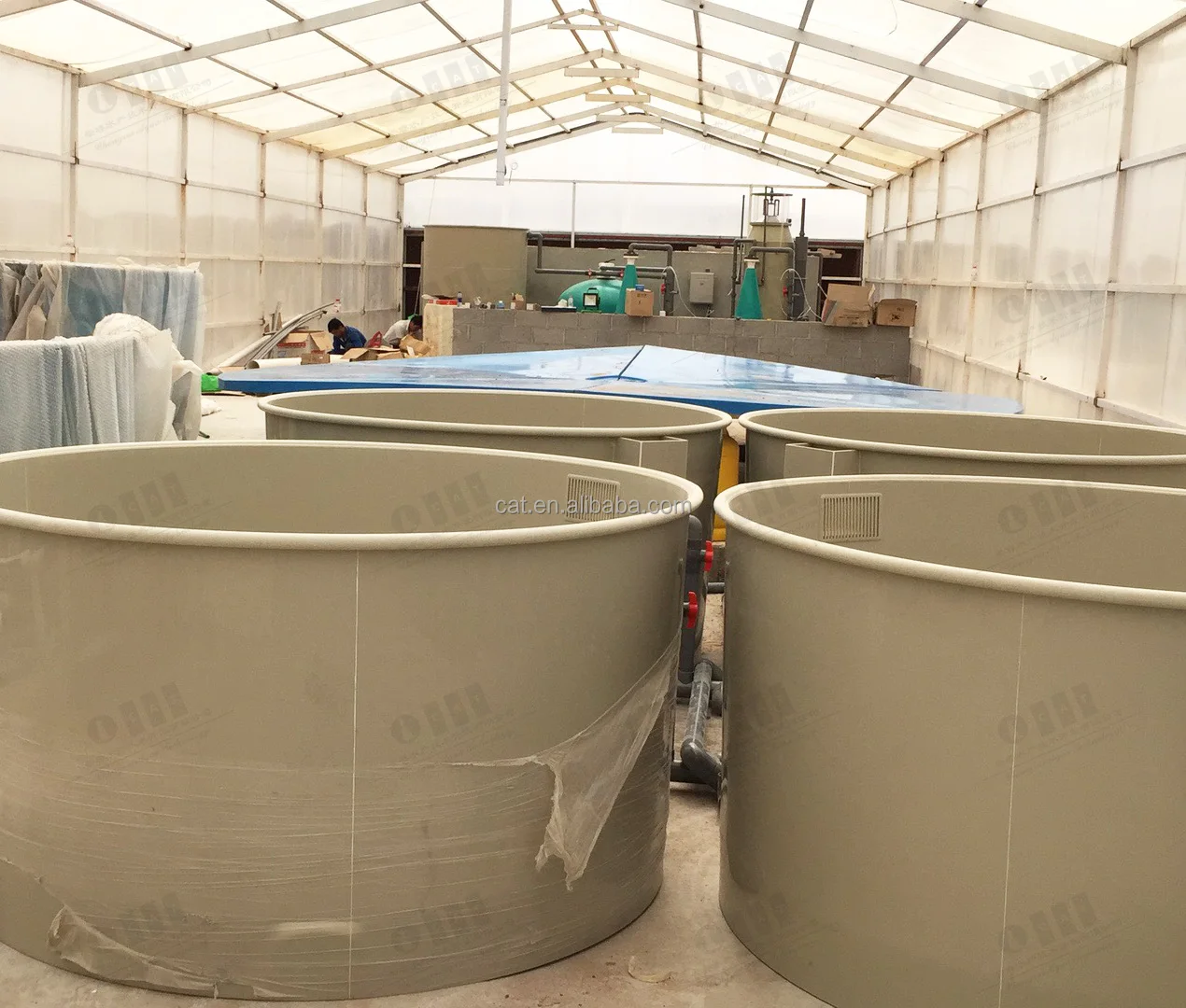 Cataqua Uae Dubai Project Advanced Catfish Farming Equipment Indoor Tilaipia Fish Farming