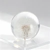 Sphere