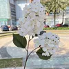 2-head pagoda hydrangea white