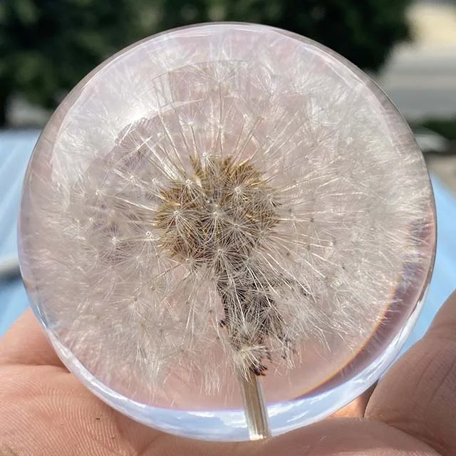 Boule De Cristal Avec Pissenlit Préservé - Diamètre 6 Cm, Socle Bois - Veilleuse LED USB - Décoration Et Cadeau Poétique - 12