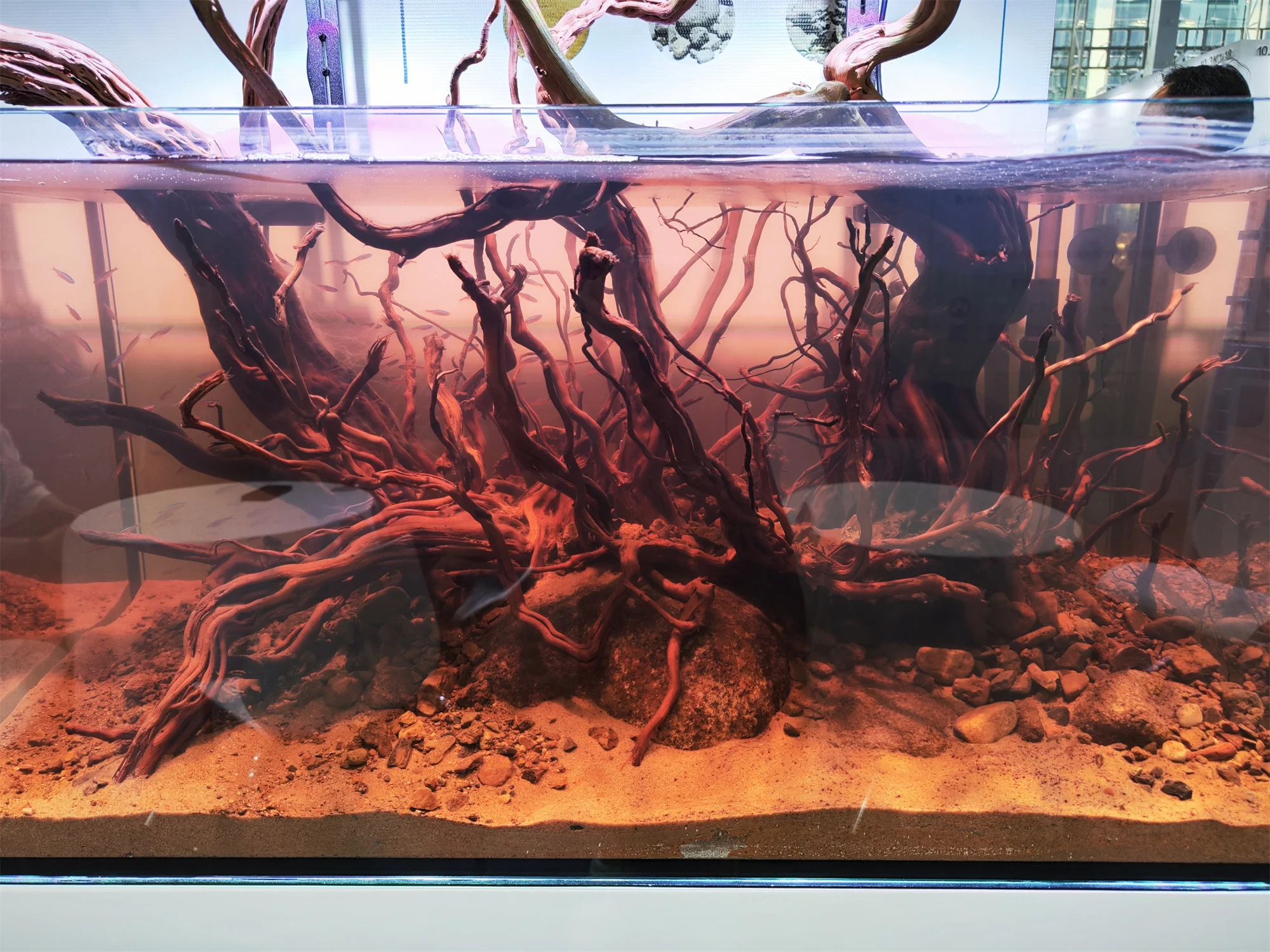 卸売ツツジウッド-S字型ツリー水族館装飾流木彫刻| Alibaba.com