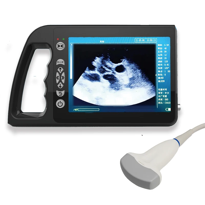 ECI-3000A+ Veterinary B-Ultrasound instrument  USB flash disk Output Waterproof Type USG