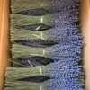 Lavanda