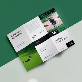 Customized Brochure Printing, Black and White Color Single Page, Three Fold Enterprise Brochure, Promotional Brochure Printing