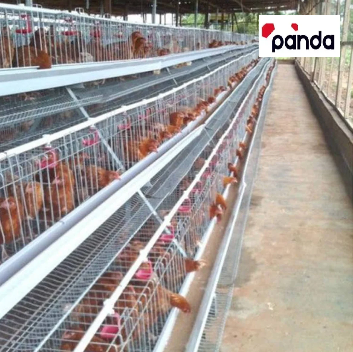 H Type Battery Chicken Cage Layer Poultry Cage Sale for Africa Farm