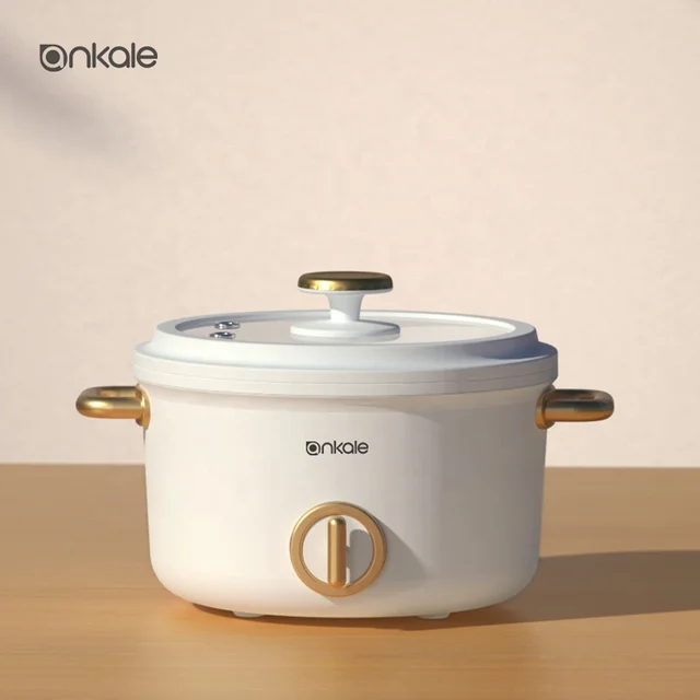 New Product National Commercial multi -function Electric cooking pot the newest home appliances