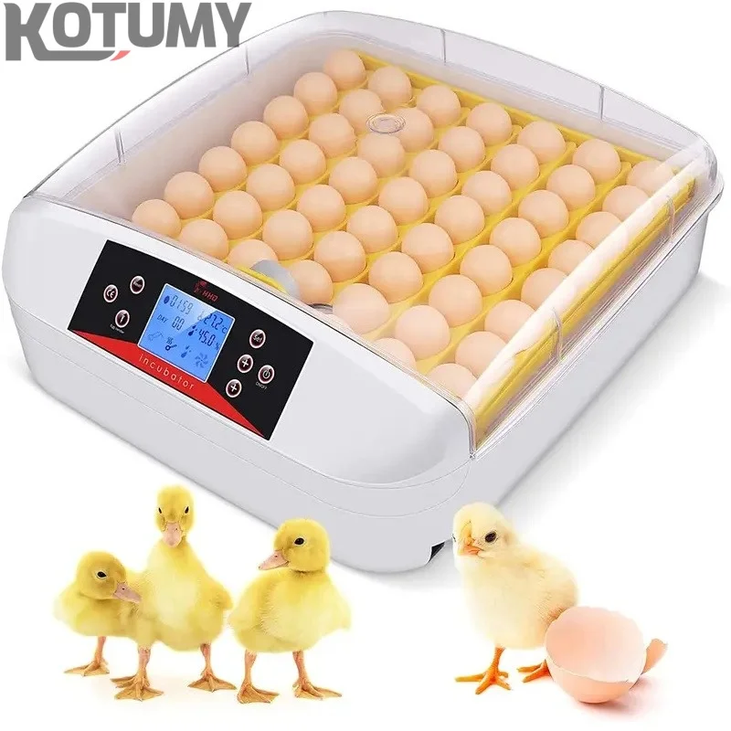 Cross Flow Fans, 56-Egg, 220V - detail 14