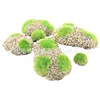 beach stones