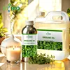 100% Pure Natural Origanum Essential Oil