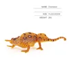 chameleon