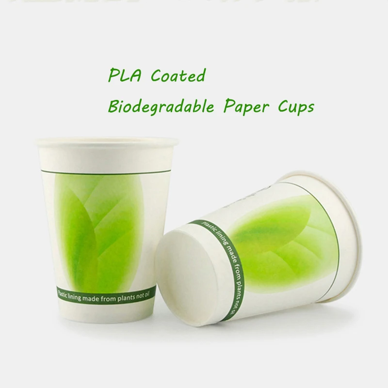 8oz 12oz 16oz  PLA Paper Cups Biodegradable  Coffee Cup Compostable paper glass with lid supplier