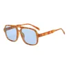 C8-hawksbill-Blue