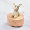 Yellow-Rabbit (rotation)