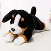 Chien Bourne 30cm