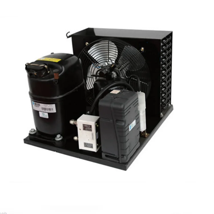 Condensing Unit for Cold Room Storage TAG2516ZBR R404A Compressor 4HP Low Temperature Cold Room air Cooled Condensing Unit