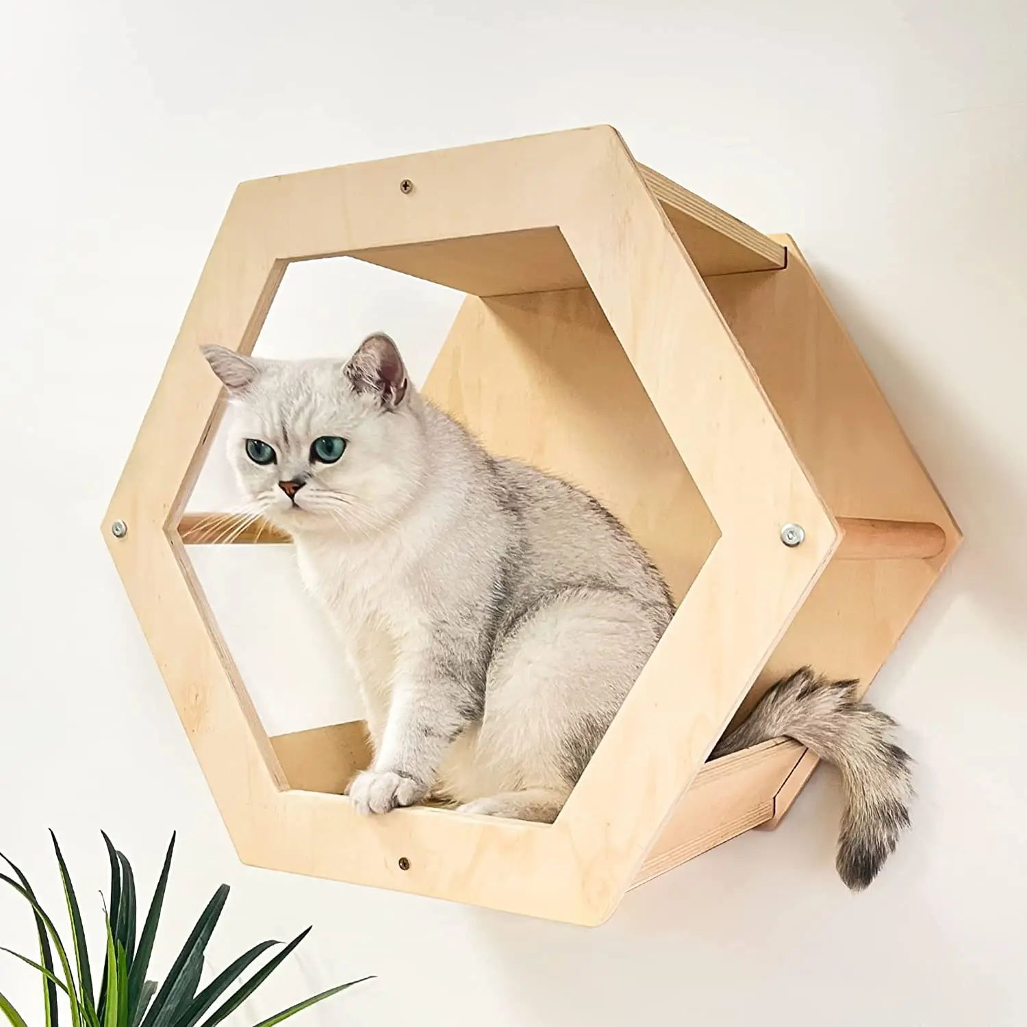 Cat Shelves Condos Cat Furniture Wall Mounted Cat Wall Steps Set With Hexagon Shelves Buy Cat