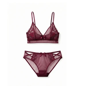 Top Wholesale Lace Bra with Geometric Multi Strap Waist Sheer Mesh Transparency Sexy Underwear Women Lingerie for Lady Lace Bra