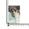 Swiss Saint Bernard
