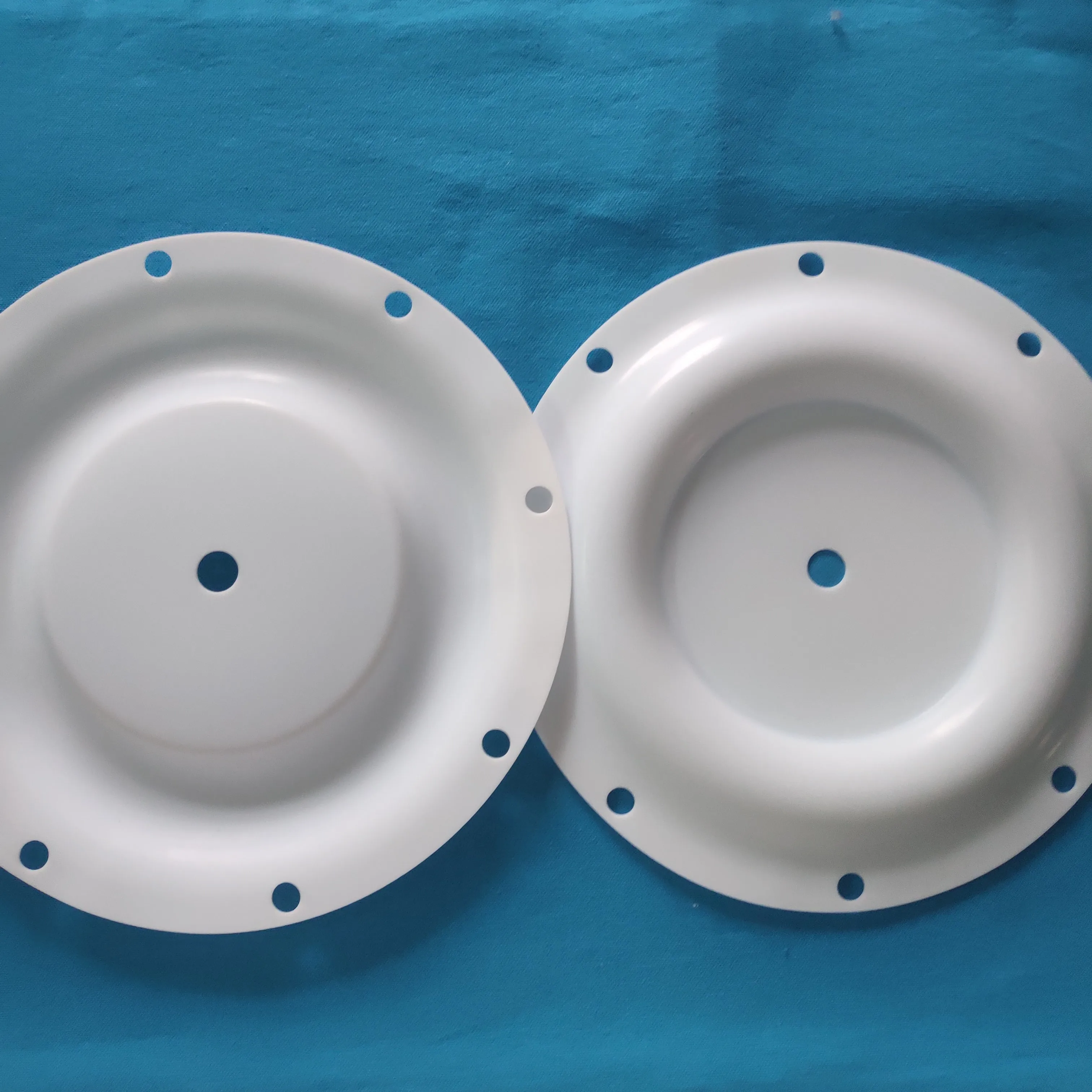 CF286.099.600 Diaphragm supplier