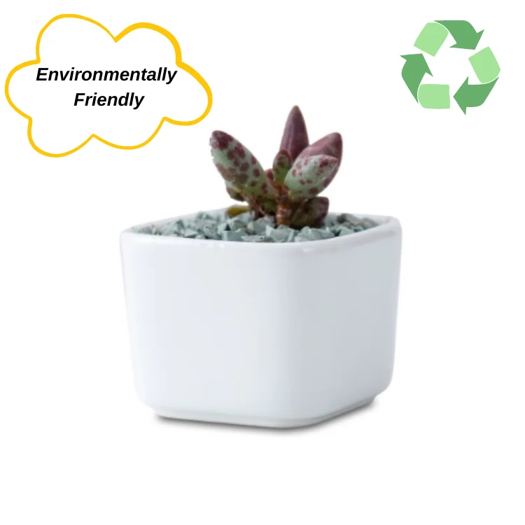 Plant Pot Succulent Bonsai Pot Ceramic Indoor Macetas Flower Pot Mini Small Round Square Creative Drop Shipping 1 USD White Low