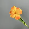 Pu abierto tulipán naranja