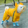 yellow bear