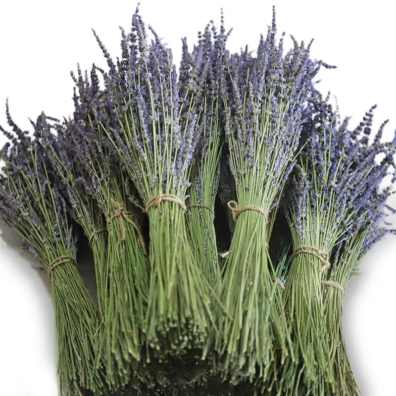 Long Stem Dried Lavender