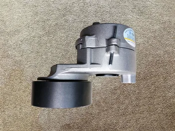 【新品・送料無料】癒されてください❣️ティンカーベル他6体セット 楽天市場】アゾン えっくす☆きゅーと Chiika（ちいか）／ Sweet