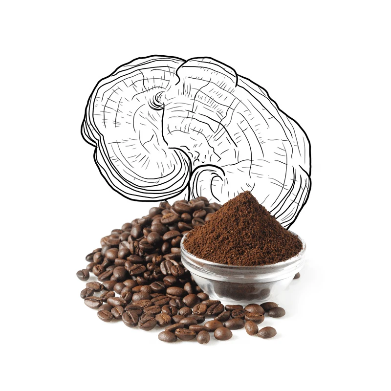 Private Label Ganoderma Reishi Extract Instant Hot Chocolate Powder Coffee Five Flavor