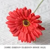 Gerbera red