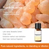 Olio Essenziale di Incenso 10ml