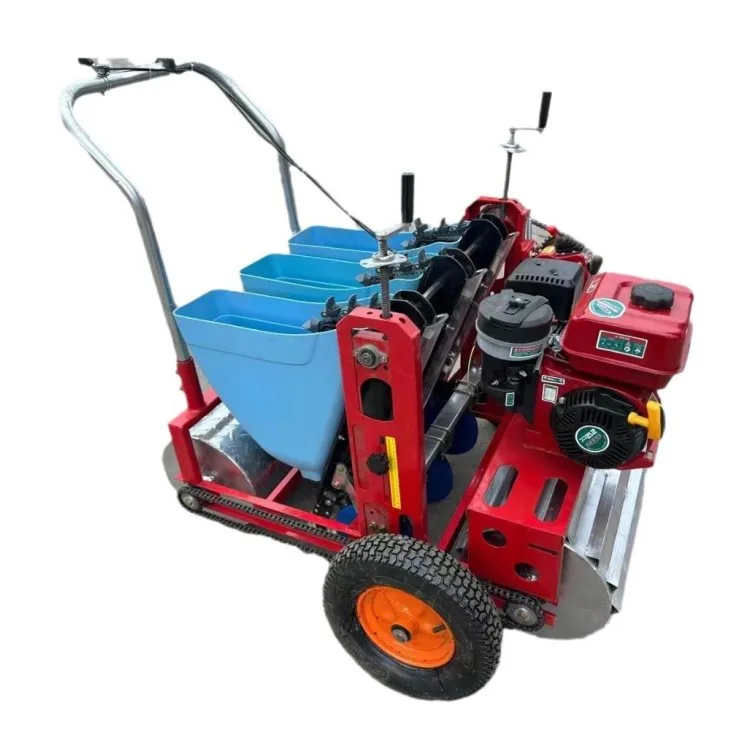 Automatic Garlic Seeder Machine Garlic Planter Sale Agriculture Equipment and Tools Planter