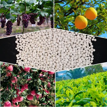 Environmentally-Friendly Non-toxic Reasonable Prices CaMg(CO3)2 Dolomite for Granular Fertilizer