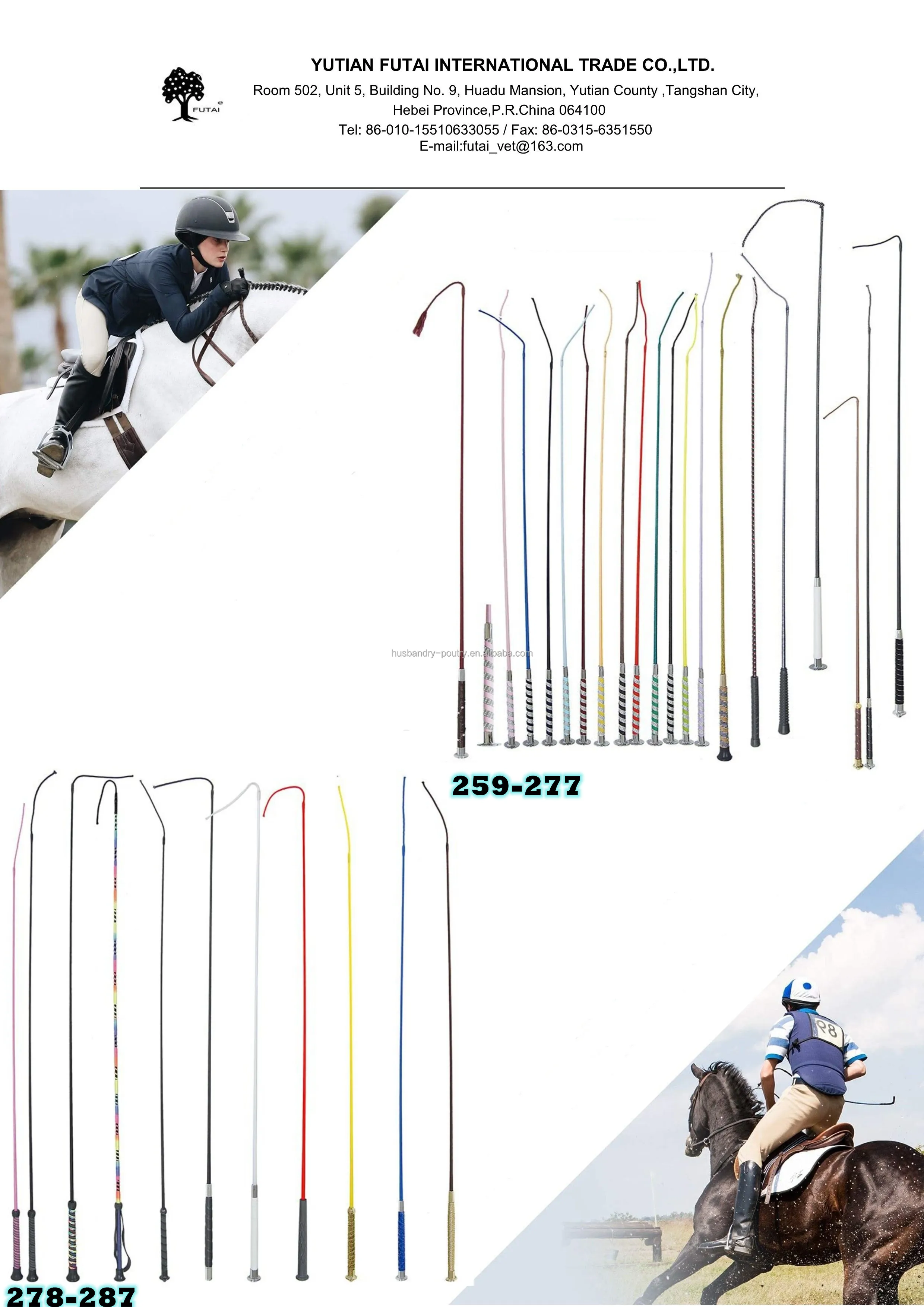 Horse Lunge Whip Buy Horse Whip,Horse Crop Whip,Horse Dressage Riding Whip Product on