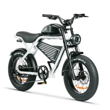 View larger image Add to Compare  Share 2023 new retro vintage super Electric Hybrid Bike 73 fat tire 20 inch 500W