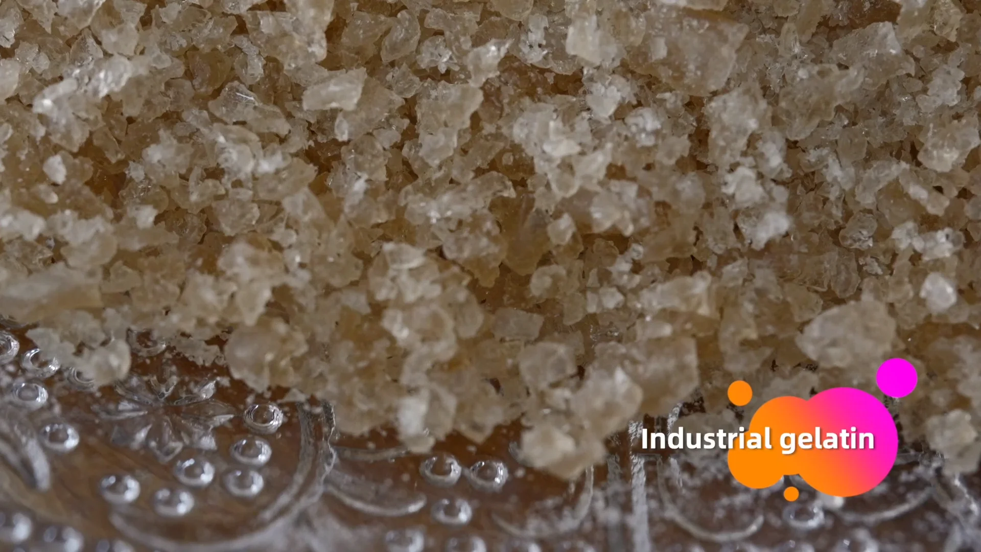 Industrial Animal Glue Suppliers Animal Protein Glue Industrial Gelatin For Wooden Furniture