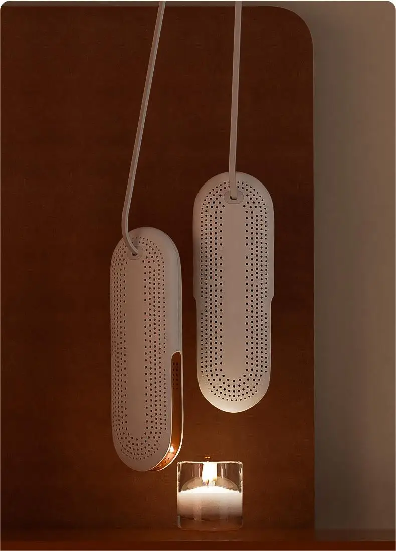 Multifunctional Shoe Sannitizer Heater Smell Remover Household Boot