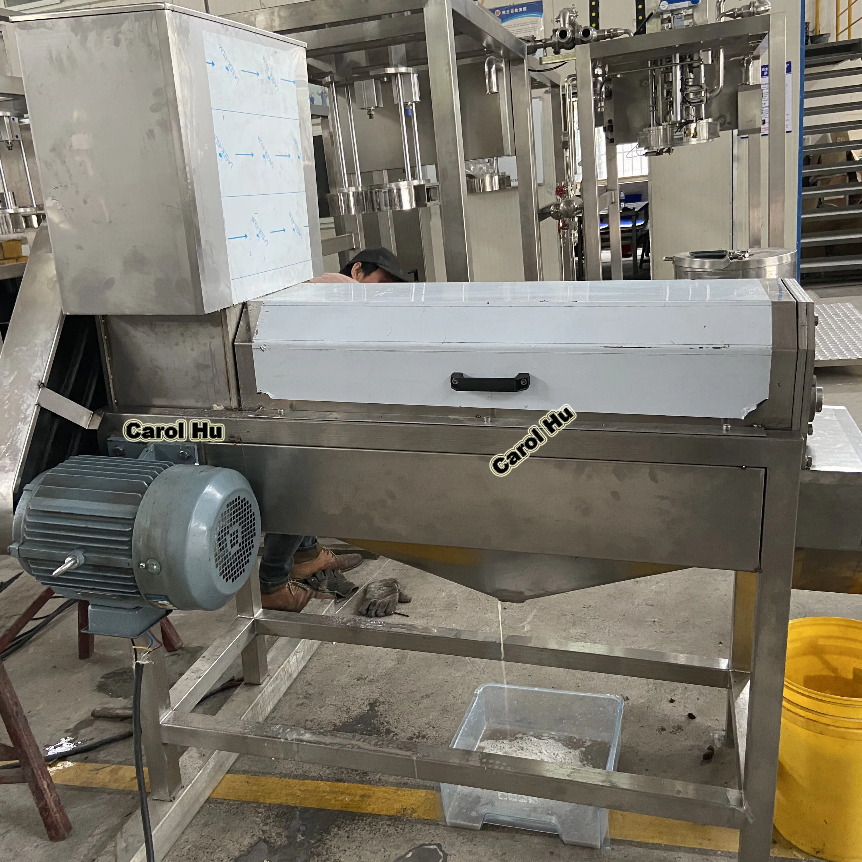 Small Fresh Litchi Skin Lychee Peeling and Pitting Machine 500KG Per Hour