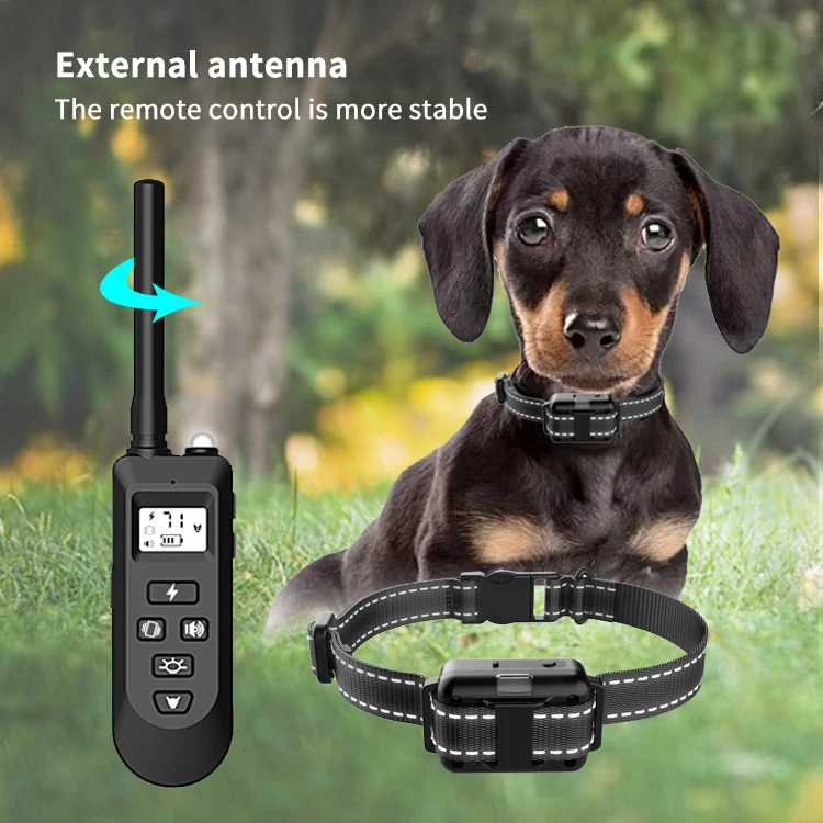 tokego dog training collar