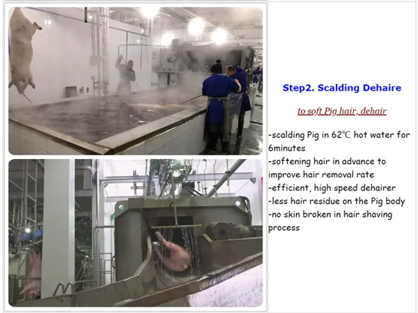 Complete pig slaughterhouse equipment for pork slaughterhouse meat processing and meat production