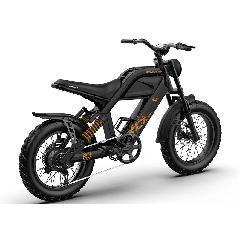 Roadsan Zoom Hydraulic Disc Brakes 48V E-Bike, 21 Speed Aluminum